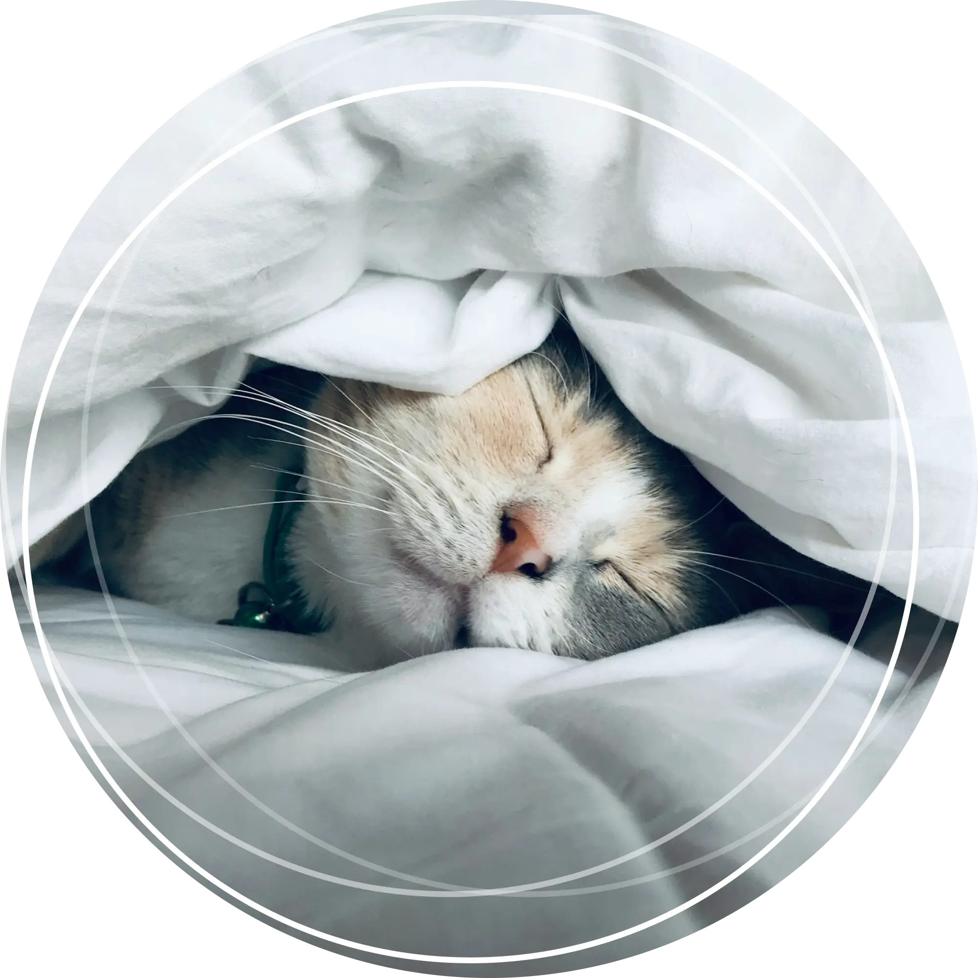 Slaaptherapie en slaapbegeleiding Roeselare