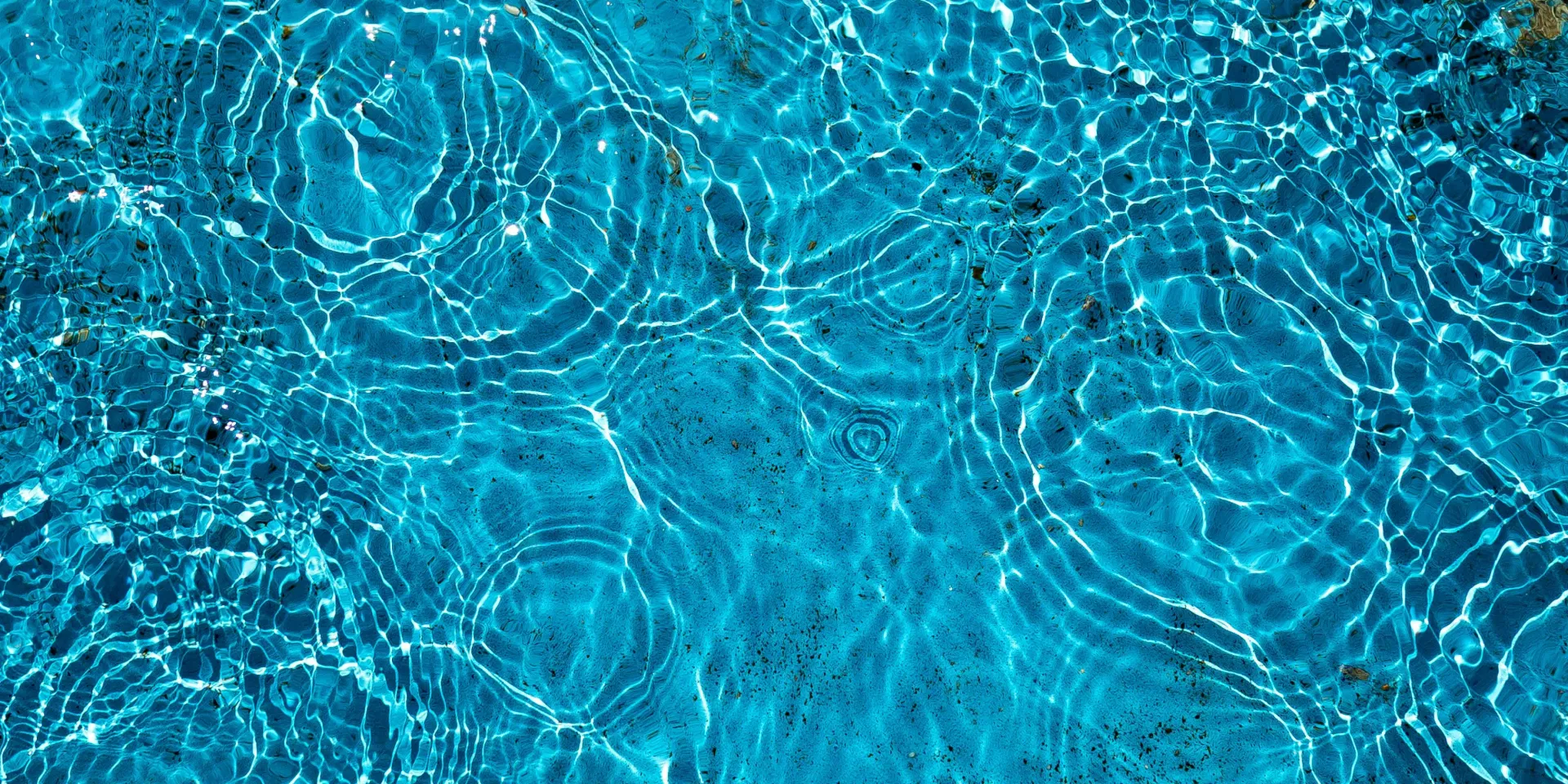 Contact Monika Van Neste